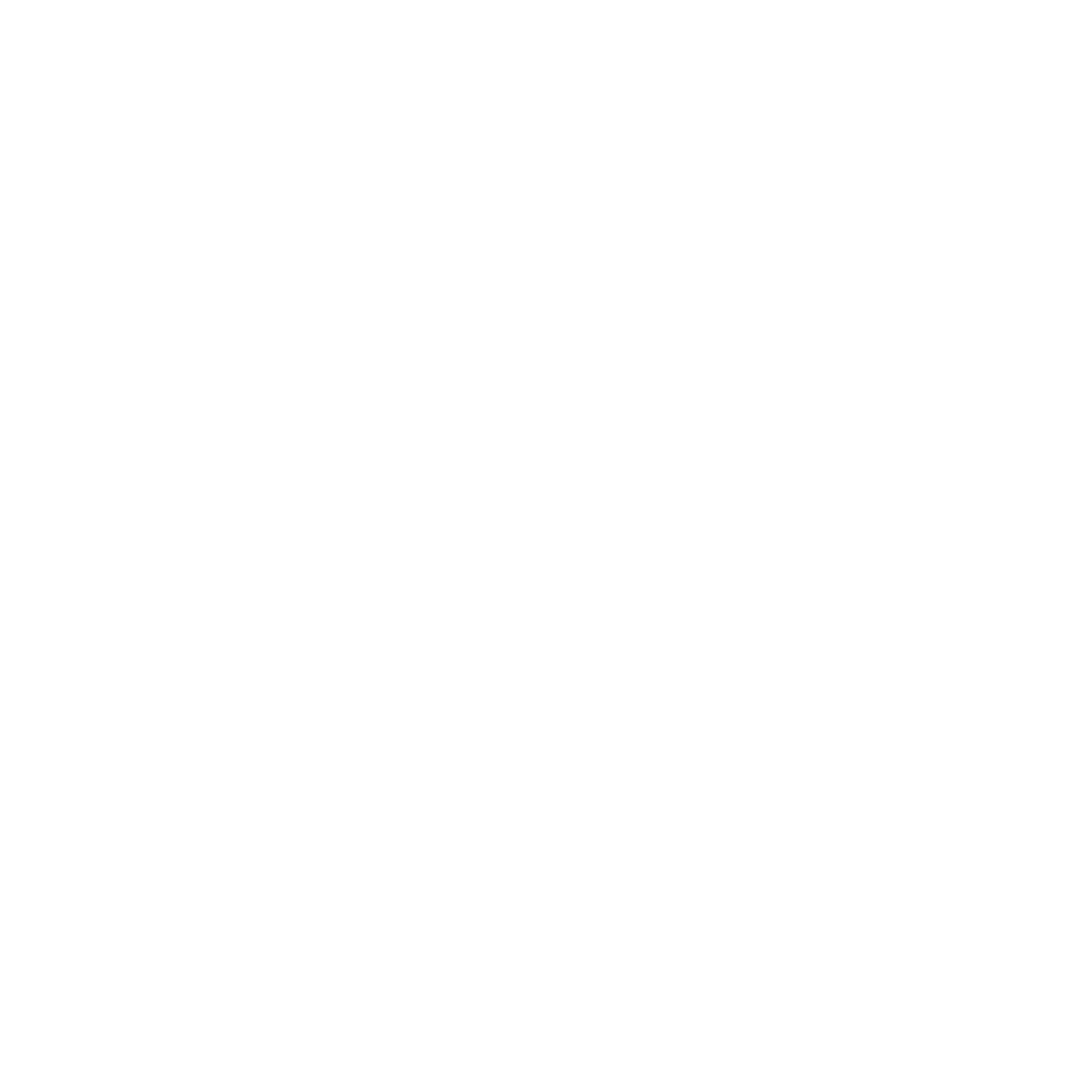 FIS VŠE
